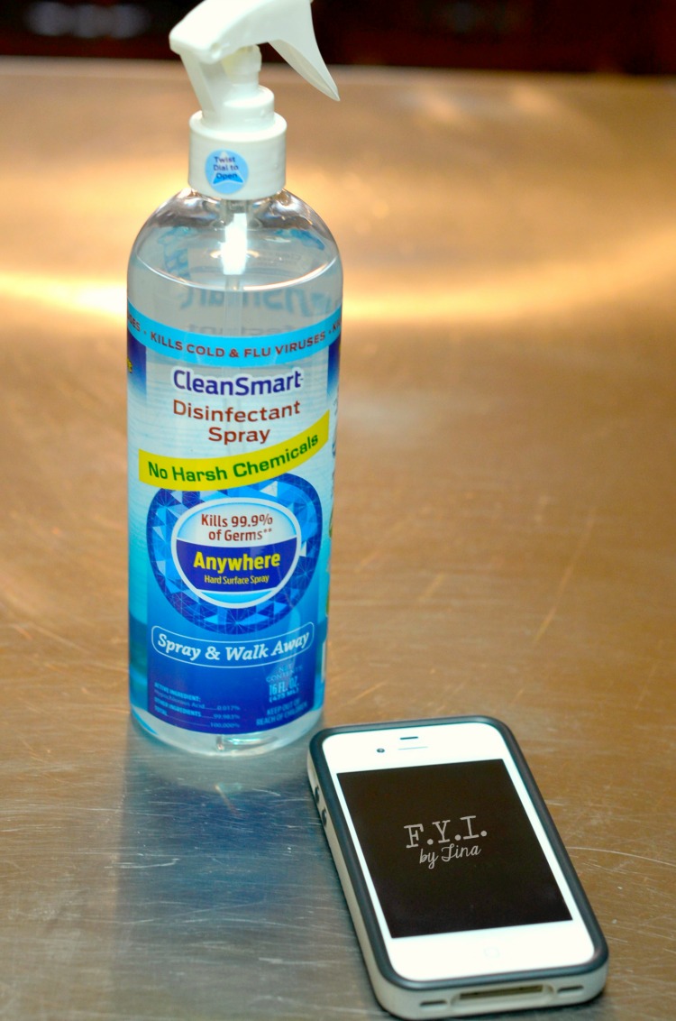 Disinfect Your Home Using No Harsh Chemicals • FYI by Tina