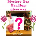 Mystery Box Handbag Giveaway {ends 3/20/14}