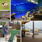 Things To Do in Destin & Fort Walton FL on Your Family Vacation