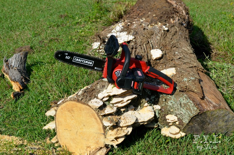 Spring Cleaning ~ Craftsman 24V Chainsaw Cordless Power • FYI by Tina