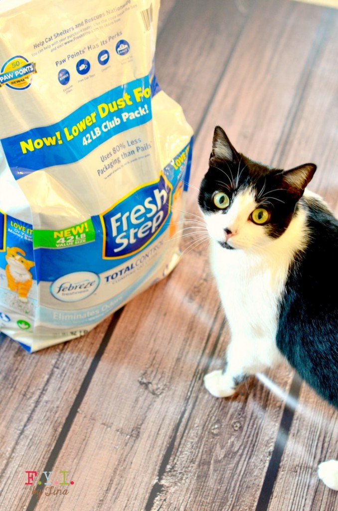 DIY Decorative Odor Absorbing Floral Vase & More Ways to Use Cat Litter