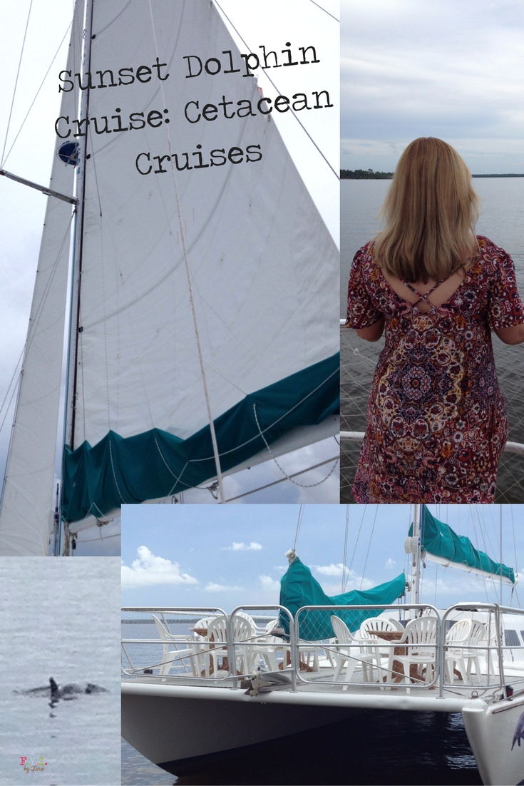 Sunset Dolphin Cruise- Cetacean Cruises